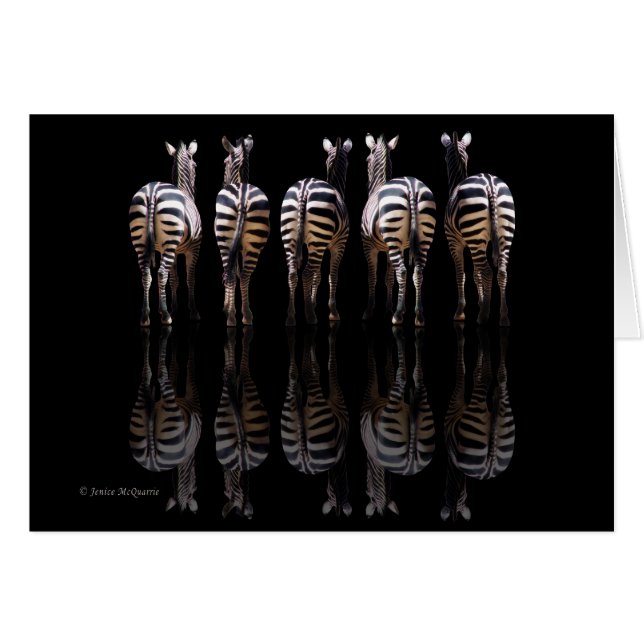 Réflexions de Zebra (Devant Horizontal)