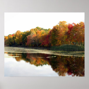 Réflexions d'une belle affiche d'automne