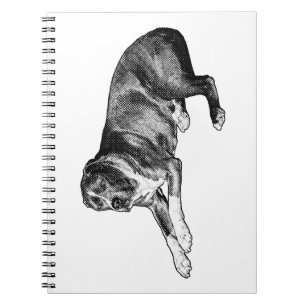 Réflexions pointillées - Carnet de chien demi-ton
