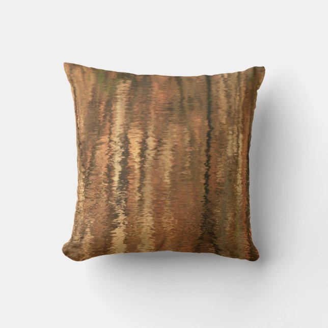 Réflexions sur la rivière un Coussin (Recto)