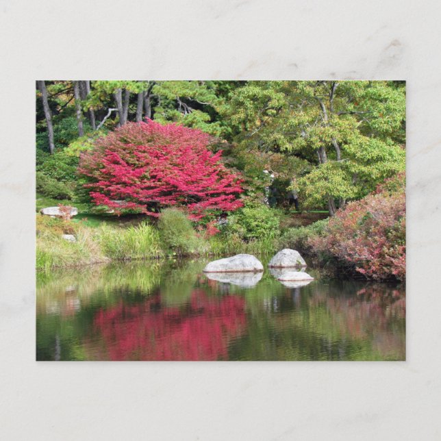 Réflexions sur une carte postale Azalia Garden (Devant)