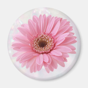 Réfrigérateur Gerbera rose Magnet