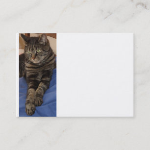 Regal Dave Chubby Carte de visite