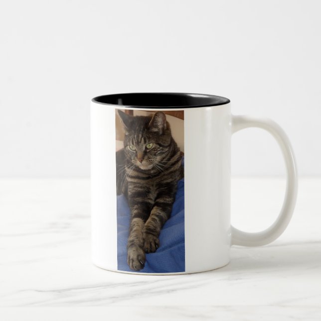 Regal Dave Deux Tone Mug (Droit)
