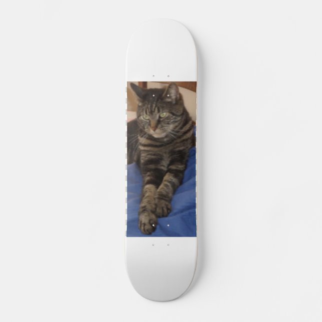 Régal Dave Skateboard (Recto)