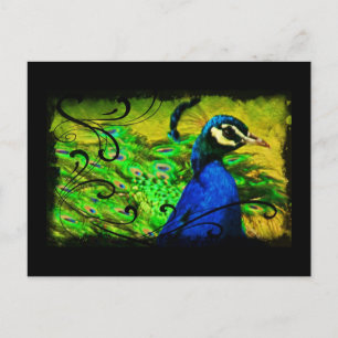 Regal Peacock Elegant Fine Art Carte postale