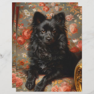 Regal Schipperke Chien Vintage papier à scandale