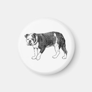 Regard Bouledogue, Magnet Manga Point