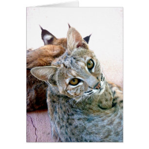 Regard fixe de Gazely personnalisable