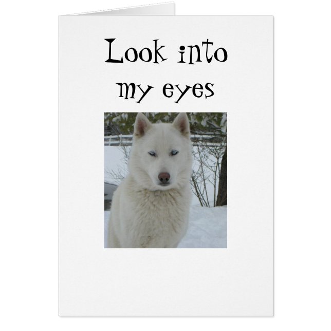 "REGARDE DANS MES YEUX ET MON COEUR" (Devant)