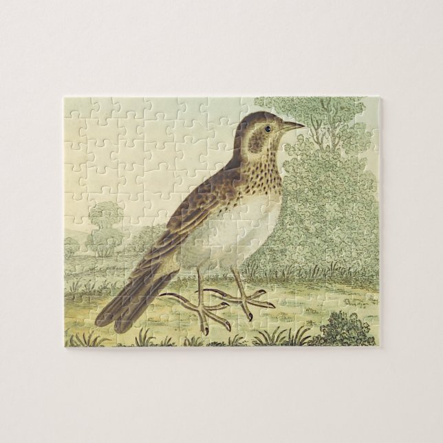 Regarde vintage, Oiseau debout au sol Puzzle (Horizontal)