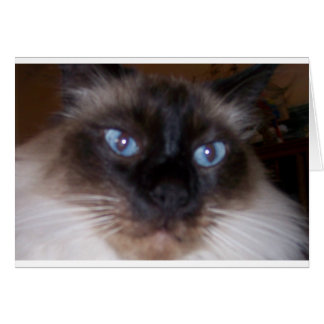 Regarder Dans Mes Yeux