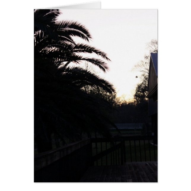 Regarder le coucher du soleil (Devant)