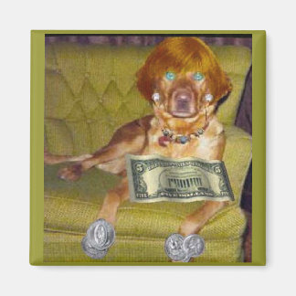 REGARDEZ CE QUE JE FAIS POUR MONEY MAGNET