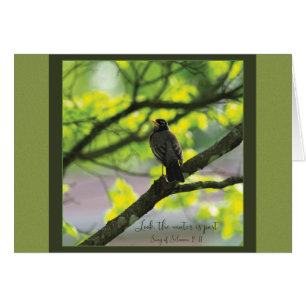 Regardez l'hiver passé la carte Parakaleo