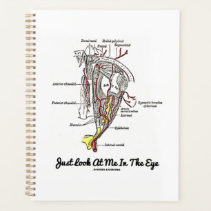 Regardez-Moi Dans L'Anatomie Des Yeux Humains