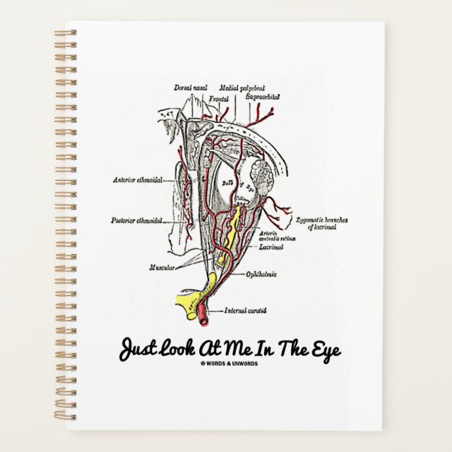 Regardez-Moi Dans L'Anatomie Des Yeux Humains (Devant)