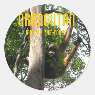 Regardez un livre Primate - orangutan stickers