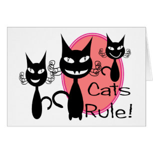 Règle de chats ! ! ! ! ! ! ! ! !