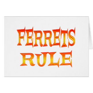 Règle de furets