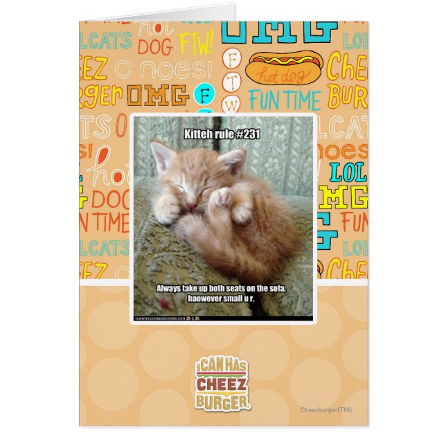 Règle de Kitteh #231 (Devant)