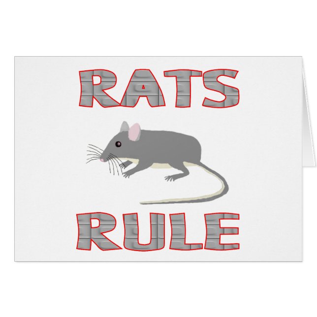 RÈGLE DE RATS (Devant horizontal)