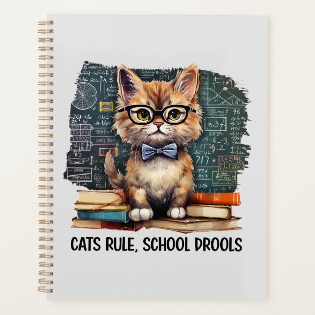 Règle des chats, Drools scolaires (Devant)