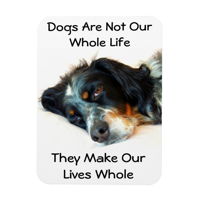 Régler l'amour Magnet photo (Vertical)