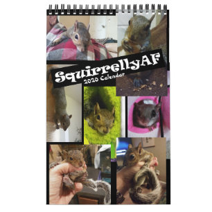 Rehab Calendrier des murs SquirrellyAF 2020