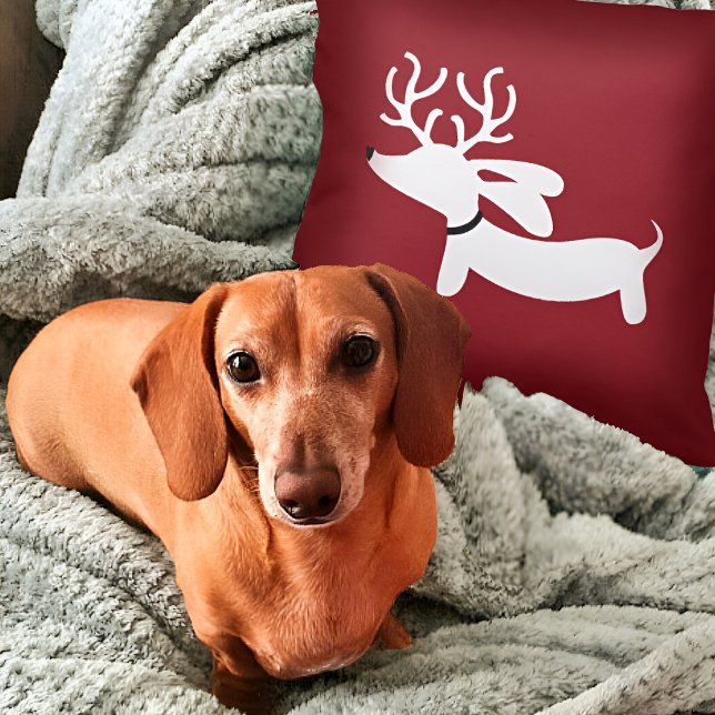 Reindeer Dachshund Coussin en rouge (Dachshund Christmas Pillow - weendeer dachshund for wiener dog families!)