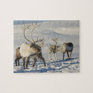 Reindeer Jeu Puzzle