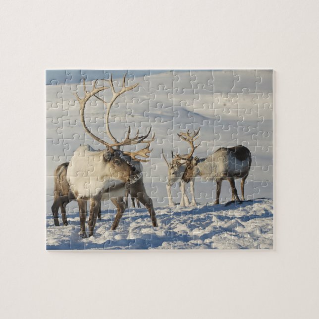 Reindeer Jeu Puzzle (Horizontal)