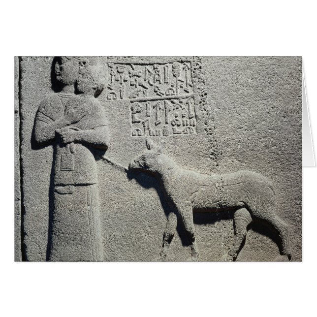 Reine Tuwarissa, épouse du roi Araras (Devant horizontal)