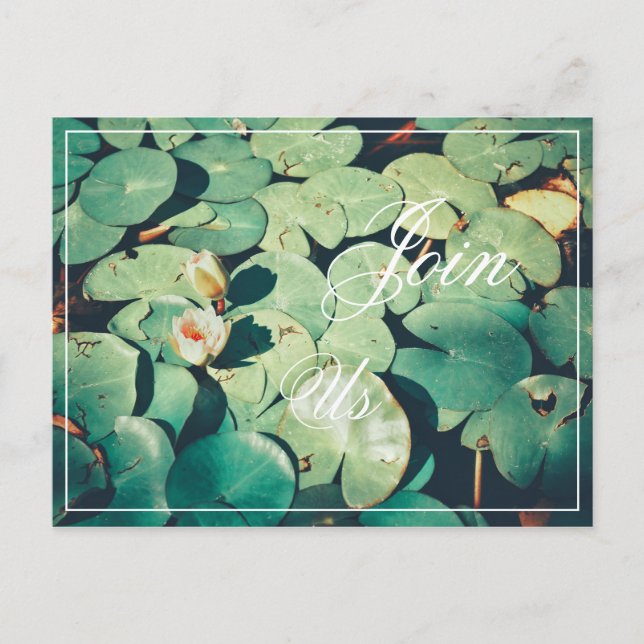 Rejoignez-nous Carte Postale Fleur de Nénuphar Feu (Devant)