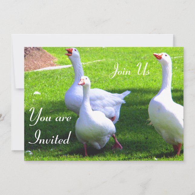 Rejoignez-nous_ Invitation (Devant)