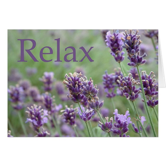 Relax (Devant horizontal)