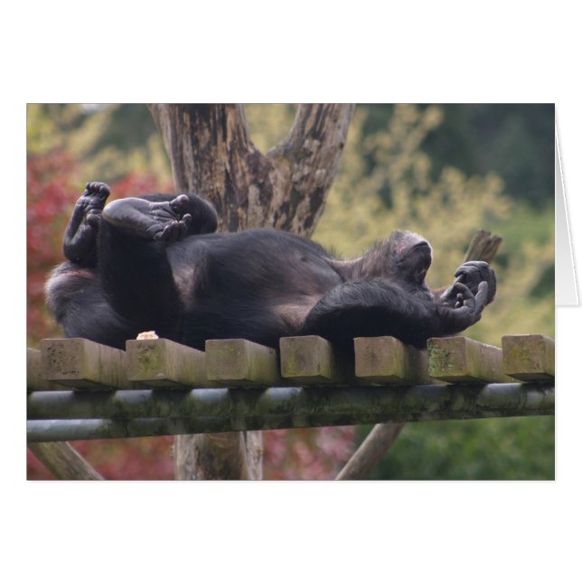 Relax ! (Devant horizontal)