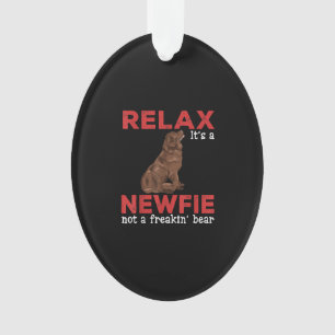 Relax Cute newfoundland