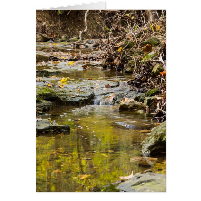 Relaxez-Vous Sur North Wears (Devant)