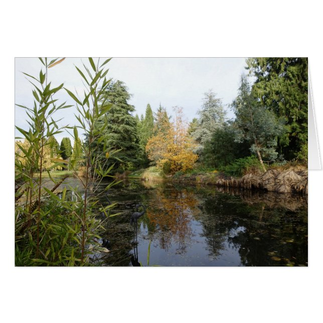 Relaxing garden scene picture, beautiful trees (Devant horizontal)