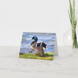 Remerciements Afficher (Mallard n° 1) - Carte de note vide