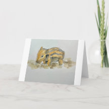 Aquarelle de bébé sanglier sur carte de remercieme