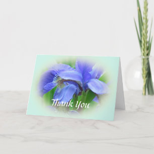 Remerciements belle carte de remerciement de fleur d'iris bleue.