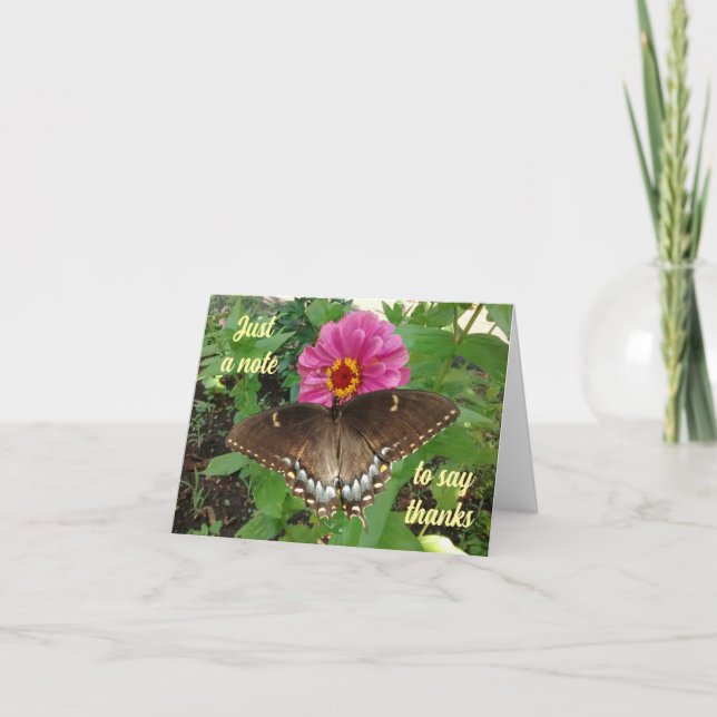 Remerciements Black Tiger Swallowtail sur Zinnia Carte de remerc (Devant)