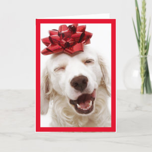 REMERCIEMENTS BLANC RETRIEVER PORTER LA CARTE DE NOUVEL AN BON