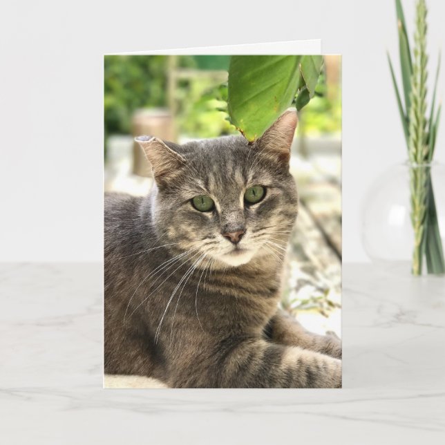 Remerciements Bonne carte de voeux pour chats (Devant)