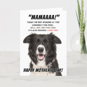 Remerciements Bordure Collie Carte de voeux