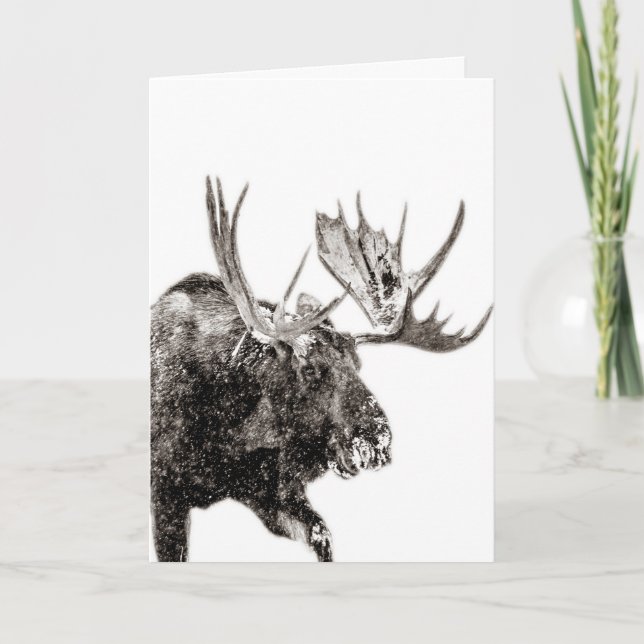 Remerciements Bull Moose dans la carte de voeux de neige (Devant)