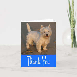 Remerciements Carte bleue blanche de Chien pourpre de West Highl