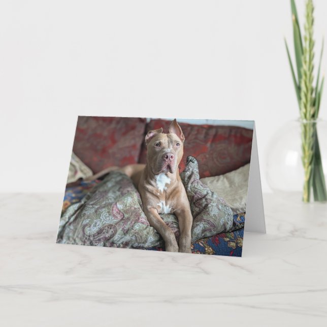 Remerciements Carte d'amour de Pitbull (Devant)